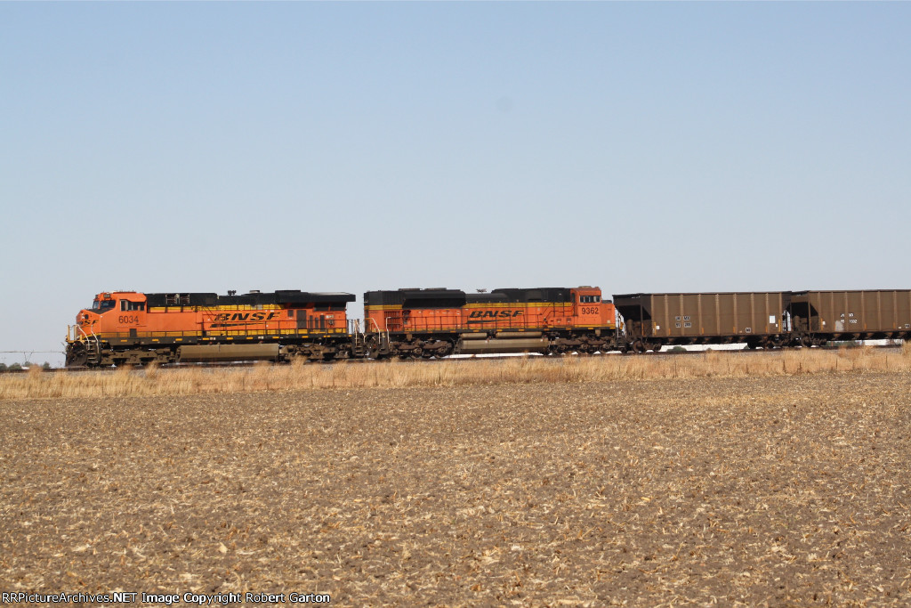 BNSF 6034 leads coal empties west